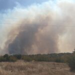 Голям пожар застрашава гора в Хасковско