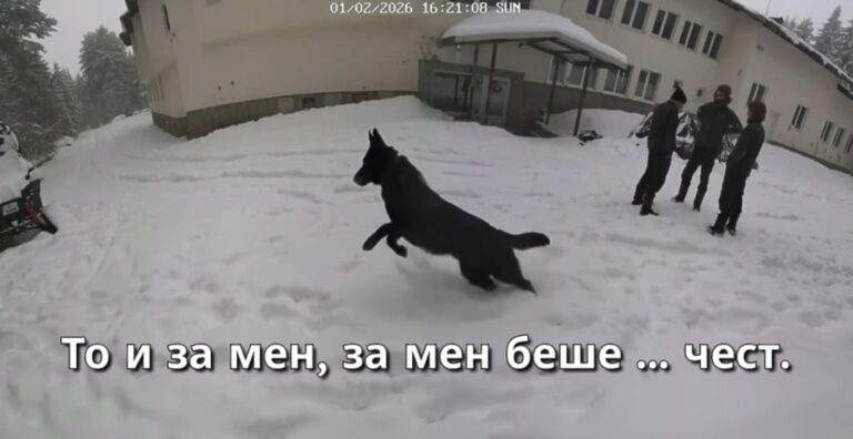 МВР ще извади експертизите по случая "Петрохан"