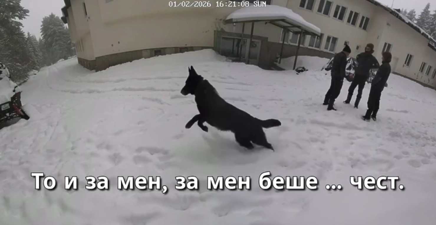 МВР ще извади експертизите по случая "Петрохан"
