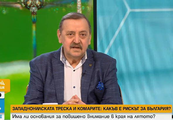Проф. Кантарджиев: Комарите в България могат да пренасят Западнонилска треска