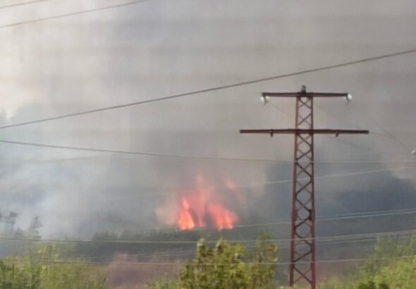 30 деца са евакуирани заради пожар във вилната зона на Мездра