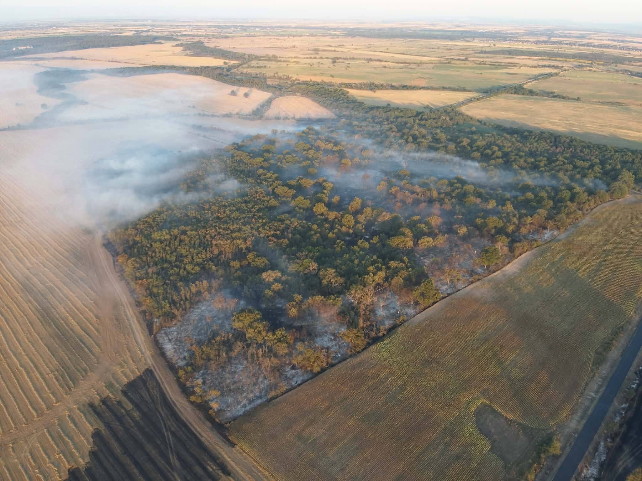 Големият пожар край Пловдив се е разгорял отново