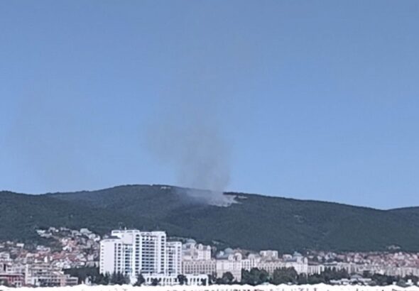 Пламна пожар в гората над Свети Влас