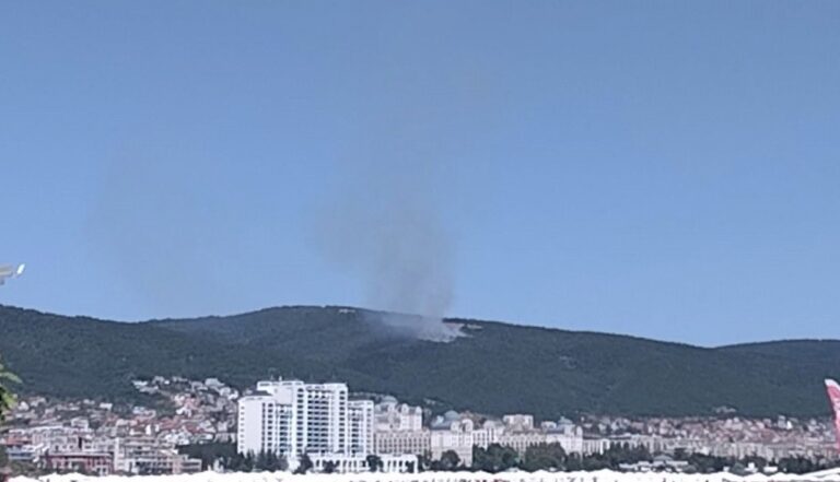 Пламна пожар в гората над Свети Влас