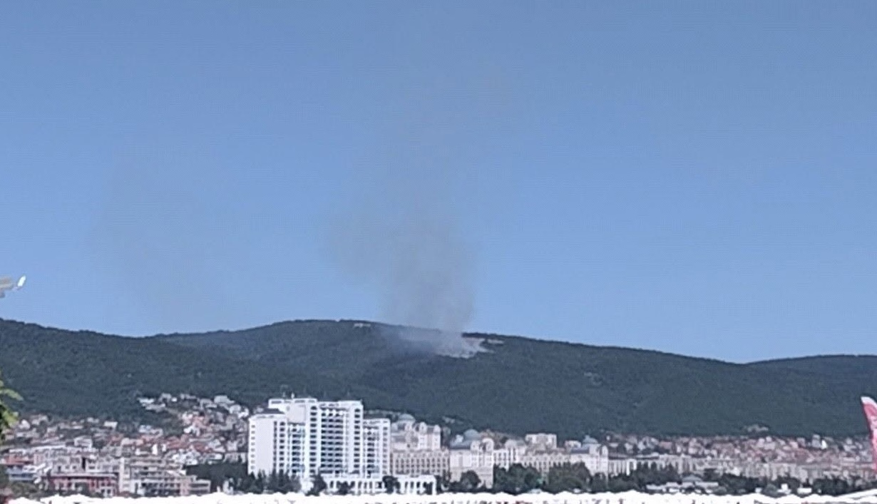 Пламна пожар в гората над Свети Влас