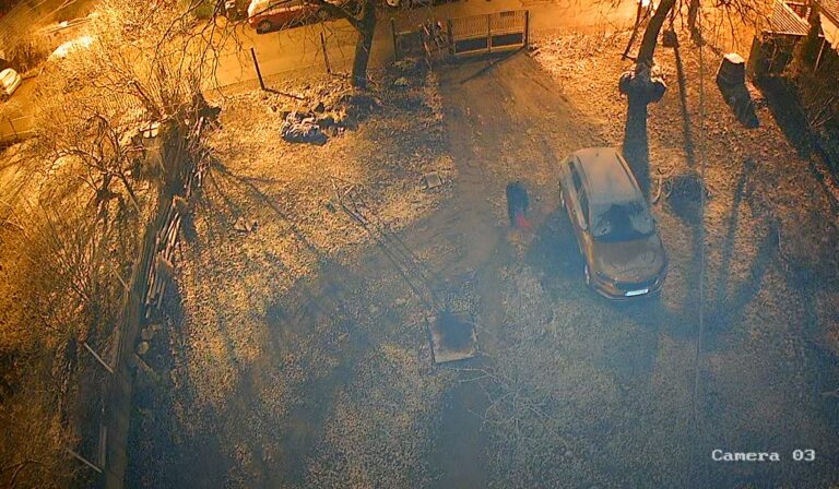 Кметове от страната излизат в подкрепа на кмета на Бистрица след палежа на колата му