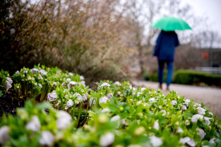 Астрономическата пролет идва с превалявания от дъжд