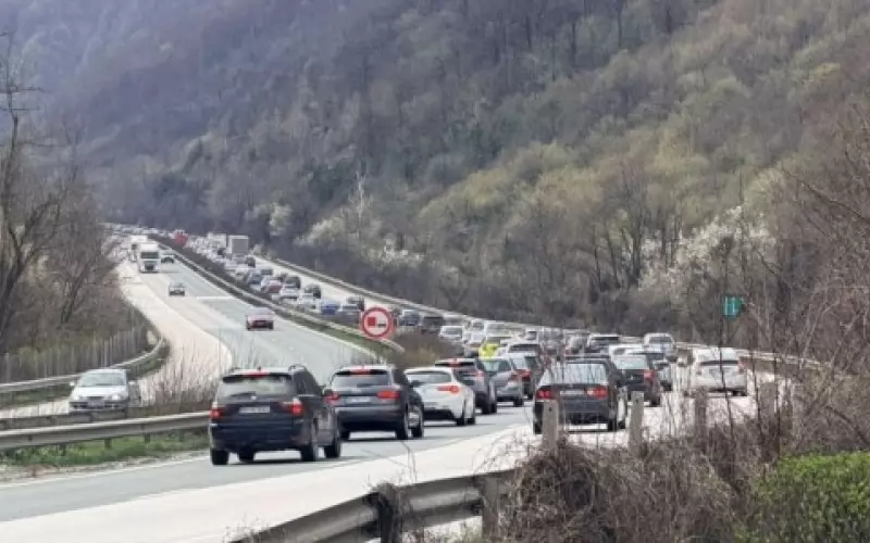 Шофьорът, аварирал във "Витиня", умишлено е запушил тунела