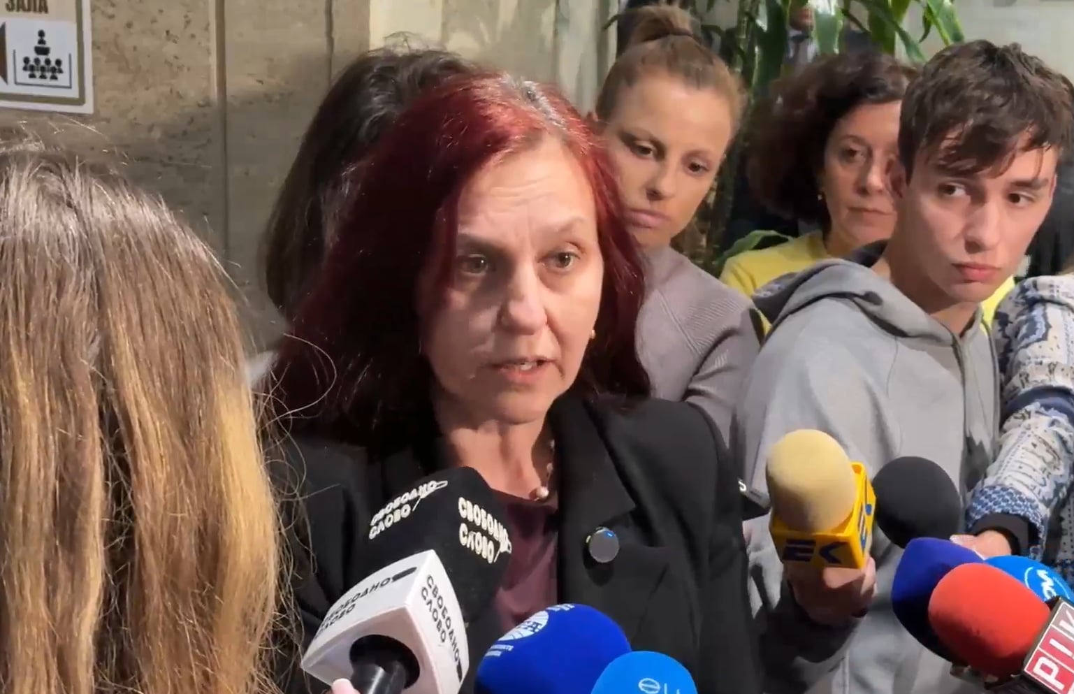 Десислава Алексиева: Ники не е престъпник! Пуснете Ники!