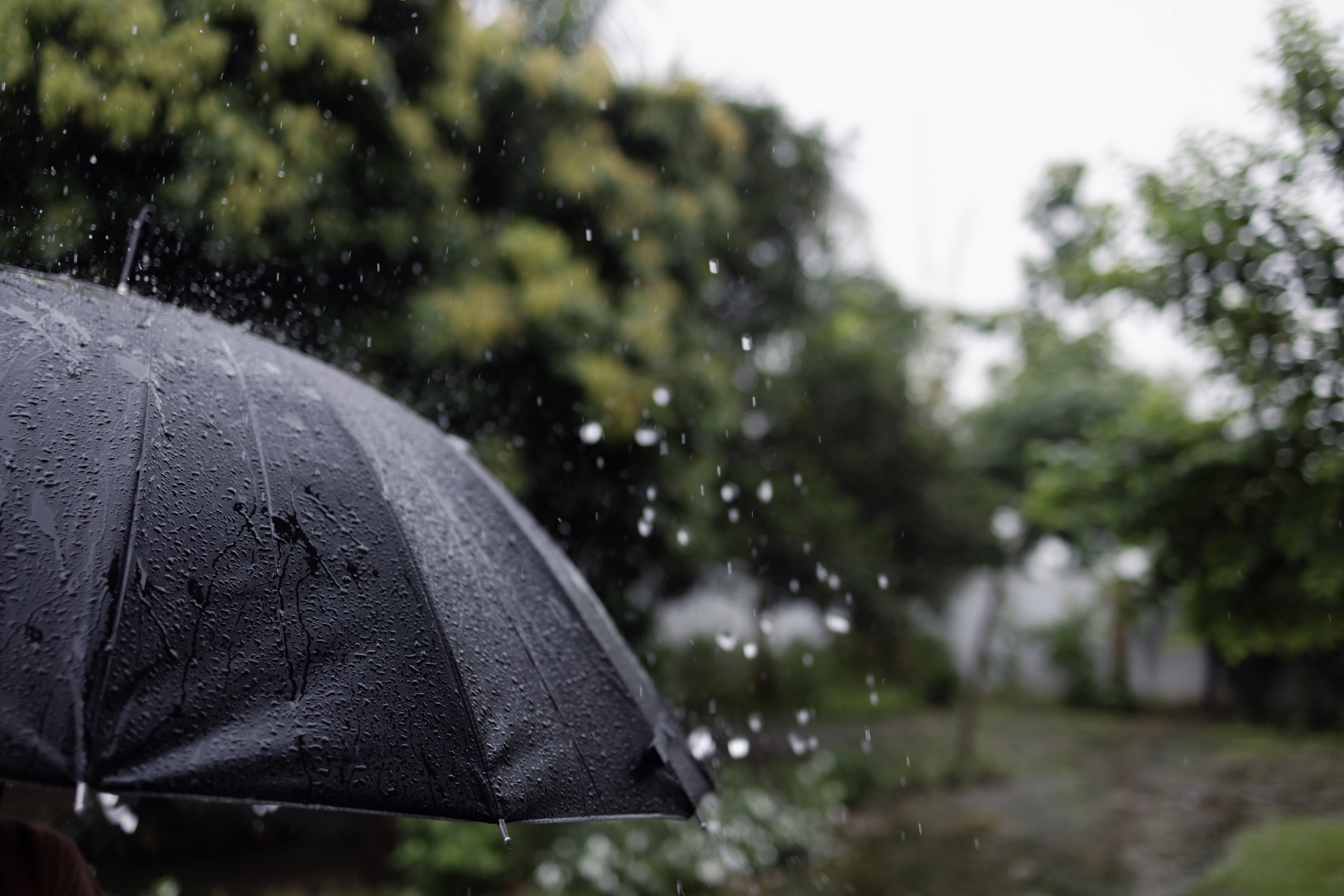 Предупредителен код за обилни валежи е обявен за половин България