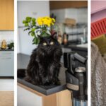 Има ли прахосмукачка, която да държи контрола в дом с дете, куче, котка, и home office?