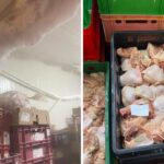 Жената на депутат на Пеевски изплува на адреса на затворения месокомбинат в Монатана