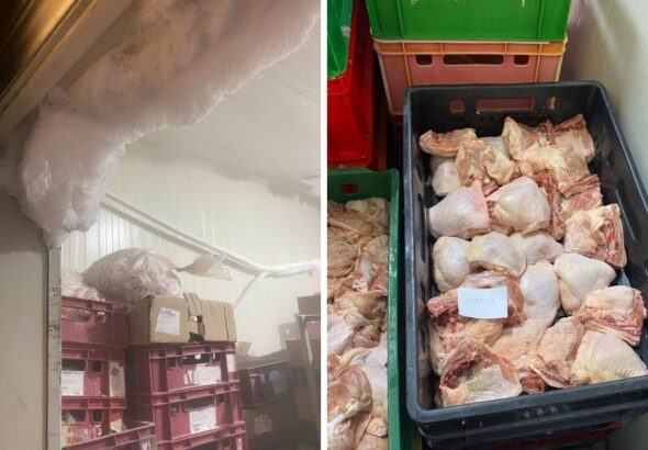 Жената на депутат на Пеевски изплува на адреса на затворения месокомбинат в Монатана