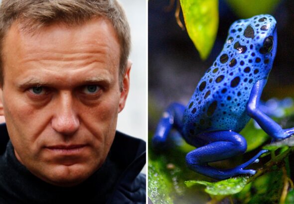 Алексей Навални е убит в затвора в Русия с токсин от жаба, обявиха пет европейски държави