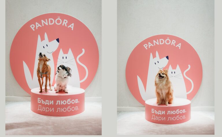 Pandora & Pet Sisters събраха над 2000 лв. за бездомните животни с благотворително събитие