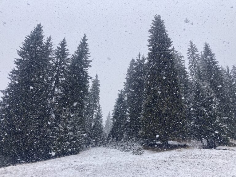 Турист е паднал в пропаст при връх Вихрен