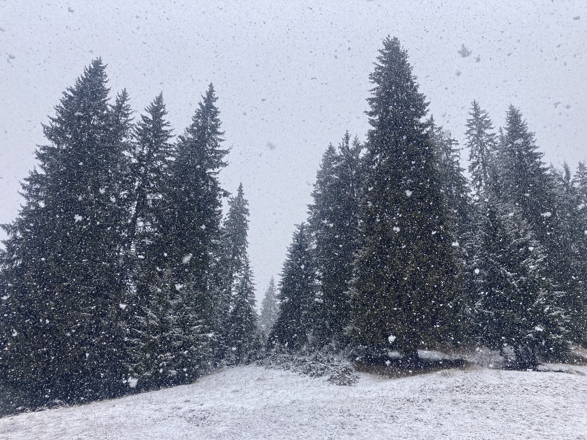 Турист е паднал в пропаст при връх Вихрен
