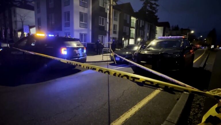 Отново двама простреляни при акция срещу мигранти в САЩ