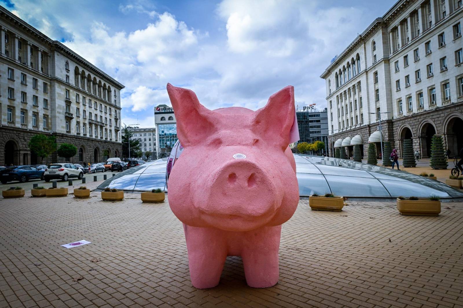 Кметът на Кърджали забрани прасето касичка на ПП-ДБ да влиза в града