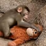 "Понякога семейството е това, което срещаме по пътя" - IKEA отново улови смисъла