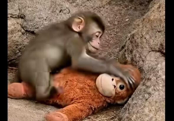 "Понякога семейството е това, което срещаме по пътя" - IKEA отново улови смисъла