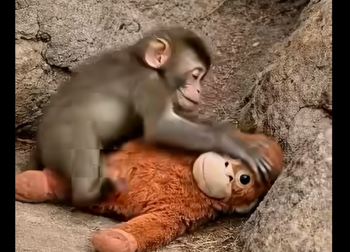 "Понякога семейството е това, което срещаме по пътя" - IKEA отново улови смисъла