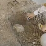 Торс на Херакъл и мозайка са открити при разкопките на Хераклея Синтика