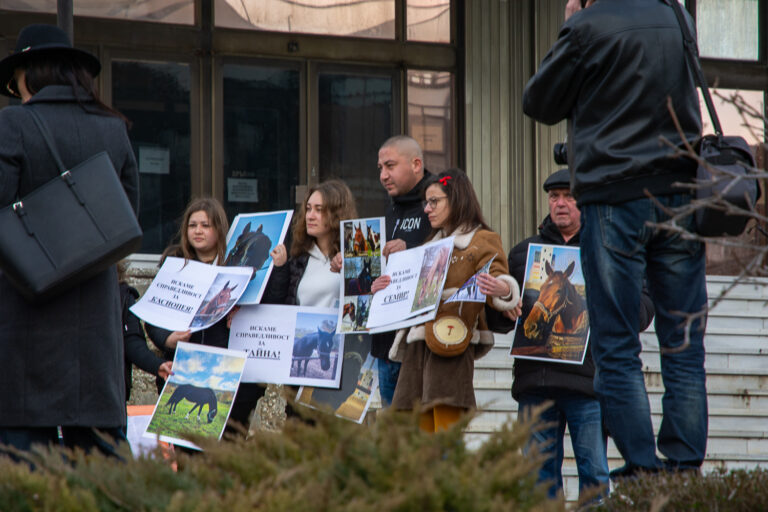 След пожара във „Фанагория“ - загинали са седем коня, има съмнения за умишлен палеж