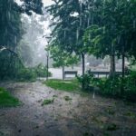 Буря с градушка удари София, дърво падна върху жена и двете ѝ деца