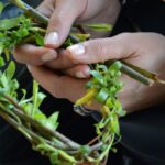 В Елин Пелин се готвят да поставят нов православен рекорд - ще плетат венец с дължина от километър