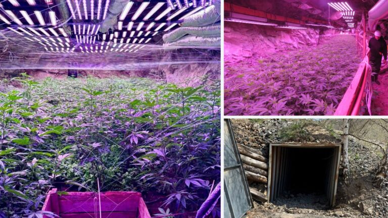 От таен вход до подземен град – как изглежда оранжерията за канабис край Кюстендил