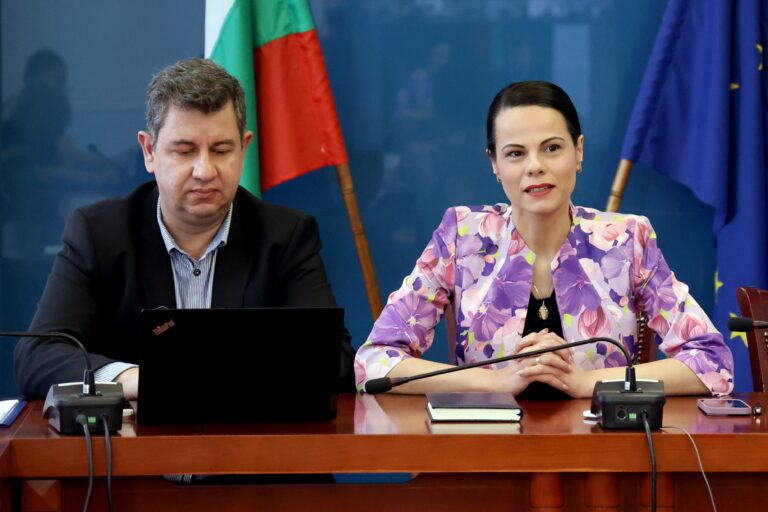 "Кой е виновен, когато хапят комарите", или защо властта не може да реши кой да направи дезинсекция