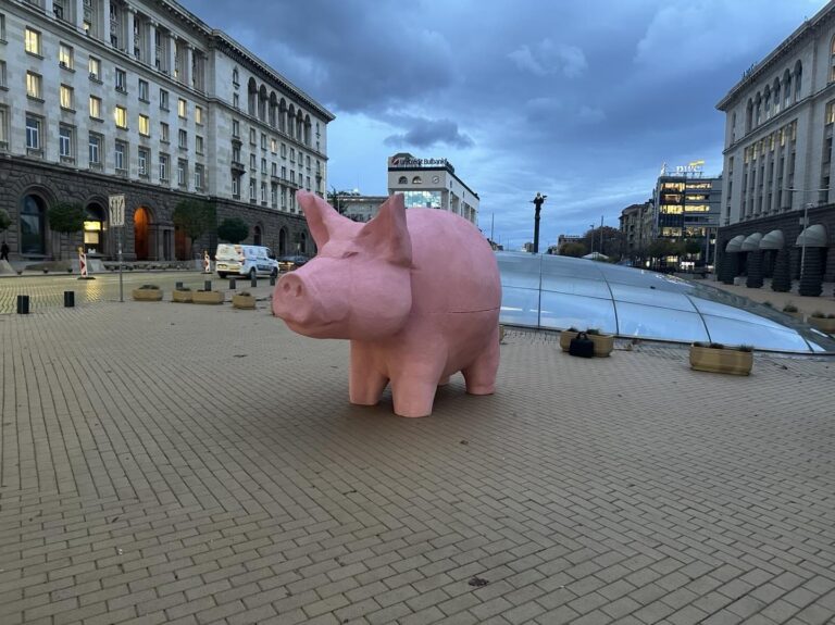 Прасе-касичка и протест пред парламента днес