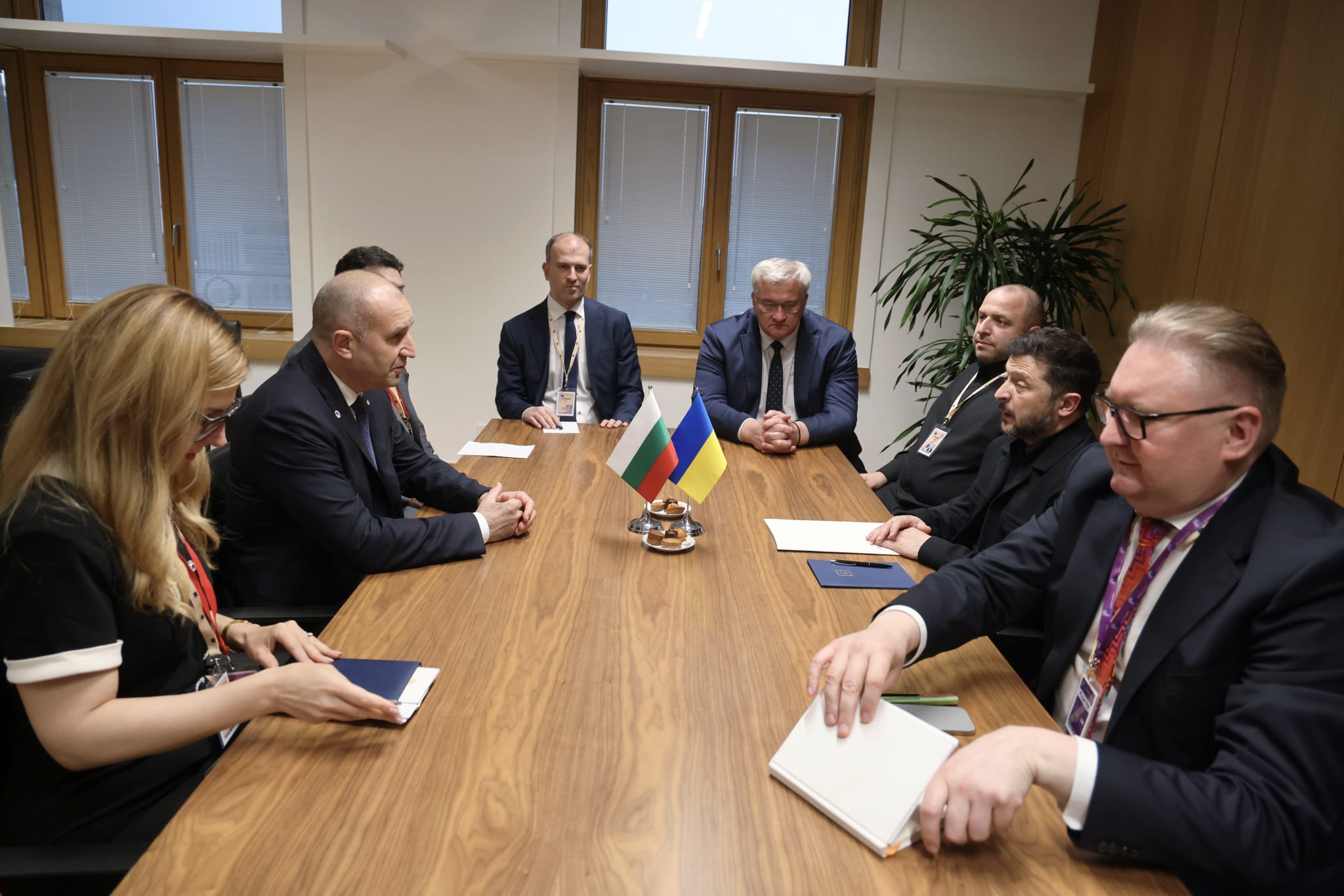 Румен Радев е предложил на Зеленски да строят заедно АЕЦ "Белене"