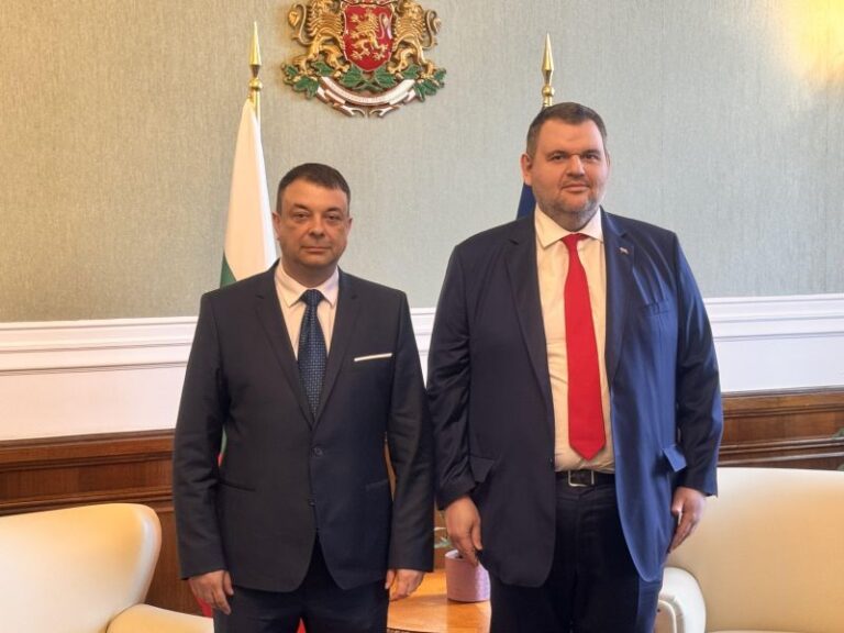 Кметовете - новата ниша на Делян Пеевски