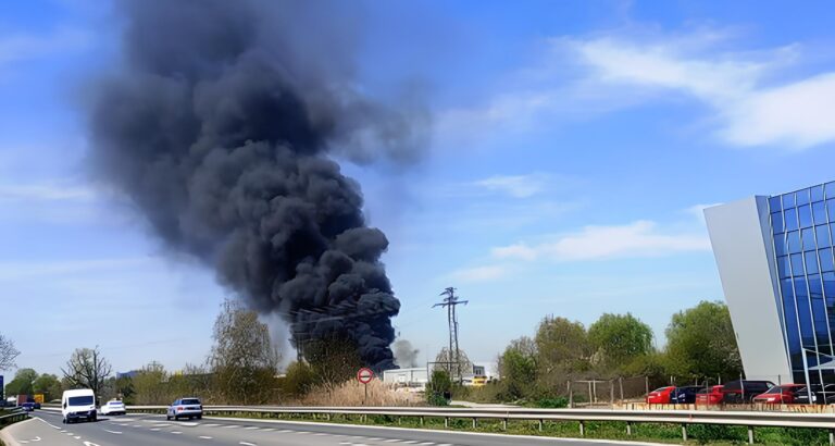 Голям пожар избухна край Околовръстното в Пловдив, пламъците обхванаха автоморга