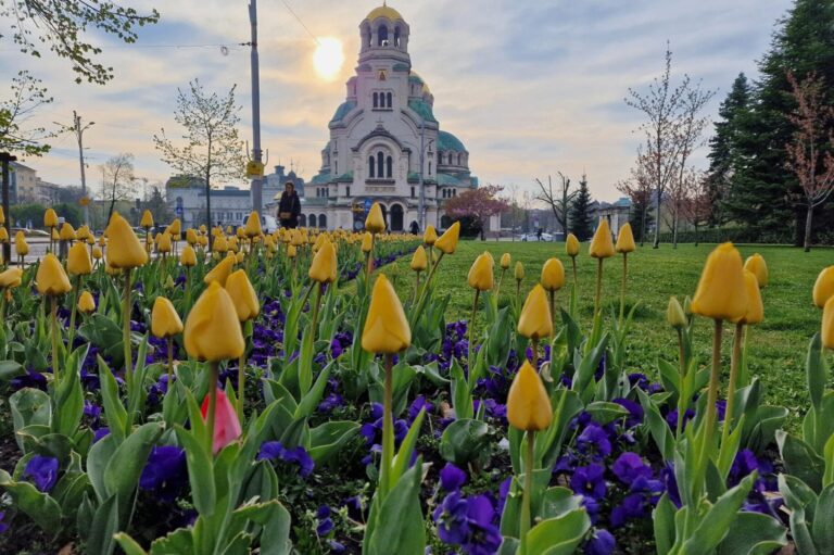 Пролетното почистване на София започва този уикенд с участието на над 600 доброволци