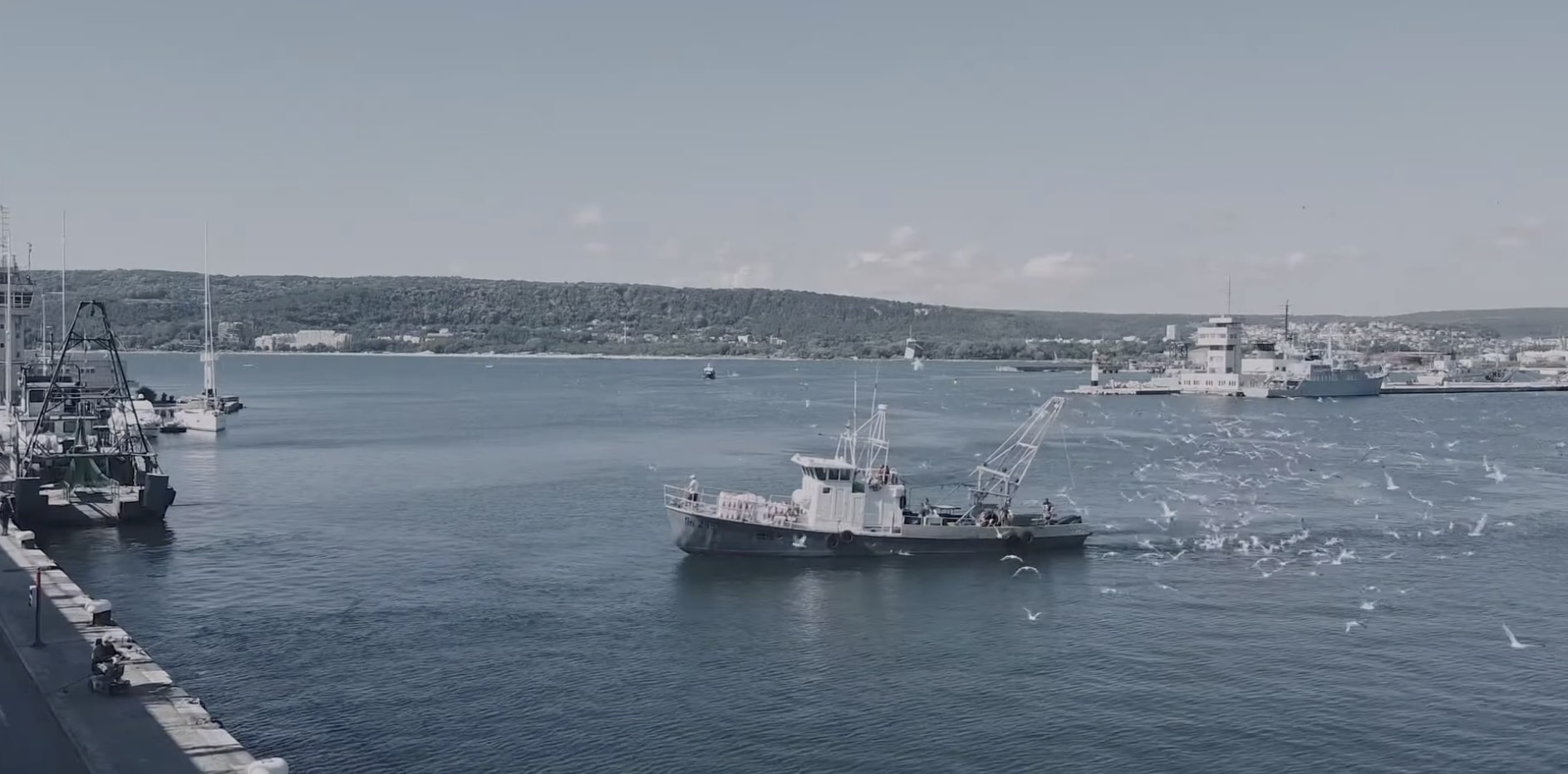 Борбата за есетрите в Черно море продължава – видът е изключително ценен и на прага на изчезване