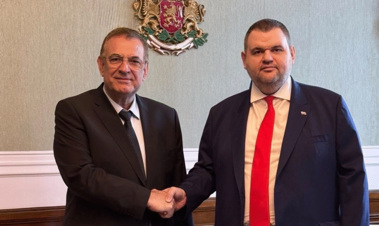 Партийният дом е заделил герб за украса на кабинета на Делян Пеевски