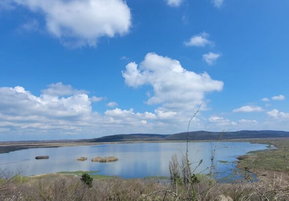 Обявено е бедствено положение в "Сребърна" - нивото на водата е критично ниско